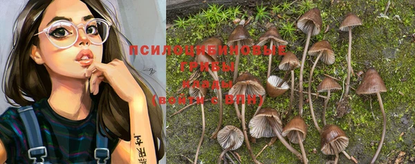 PSILOCYBIN Богородск