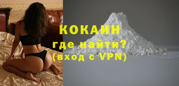 спиды Богородицк